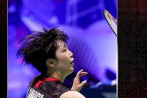 了主力阵容 了主力阵容